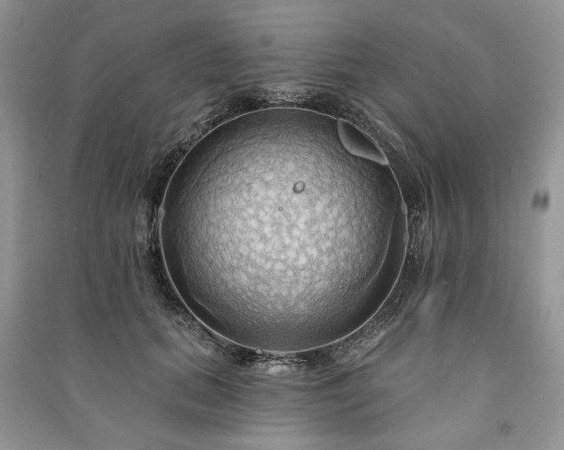 X0000090980655200708091458