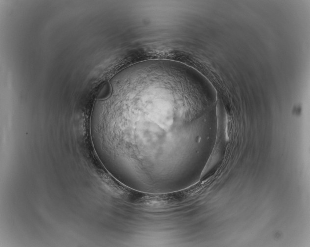 X0000090980658200708091458