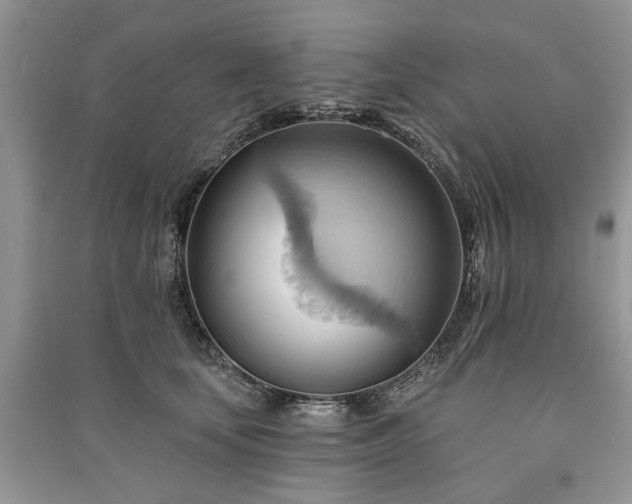 X0000090980659200708091458