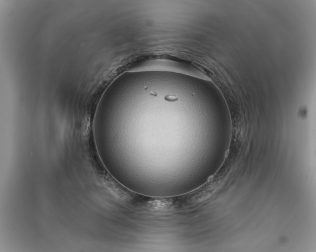 X0000090980660200708091458