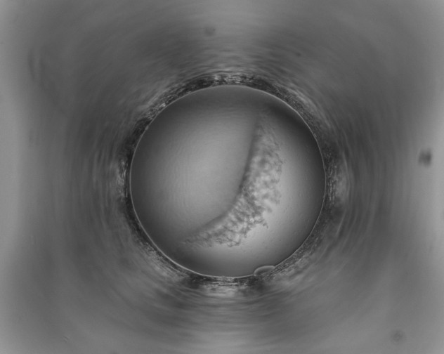 X0000090980661200708091458
