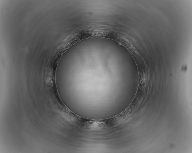 X0000090980663200708091458