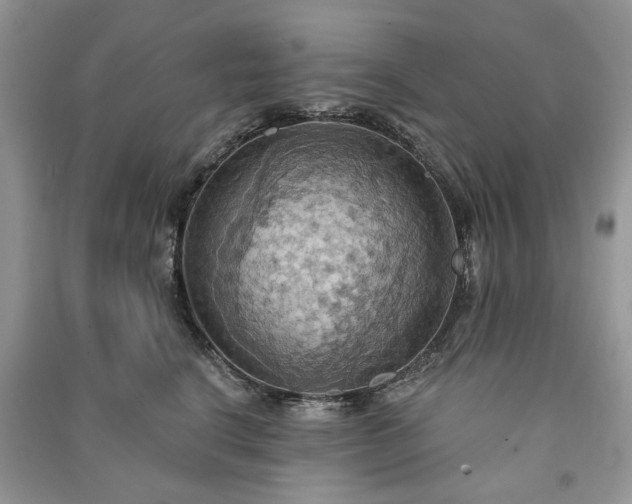 X0000090980664200708091458