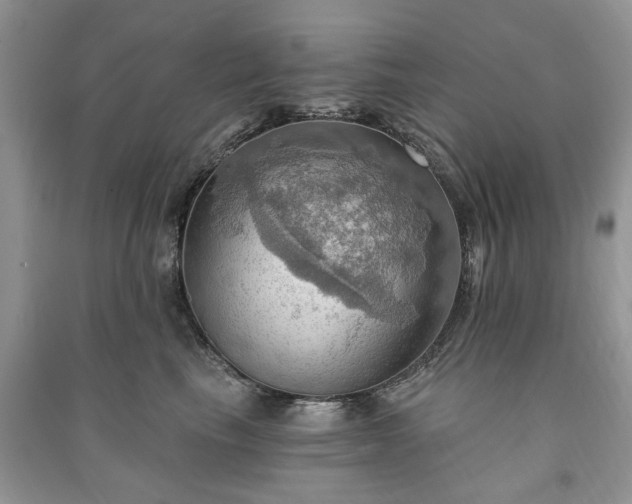 X0000090980665200708091458