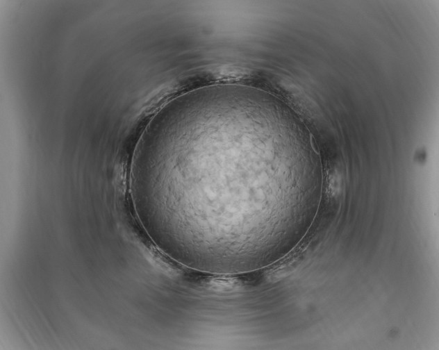 X0000090980666200708091458