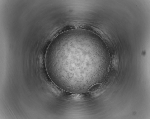 X0000090980667200708091458