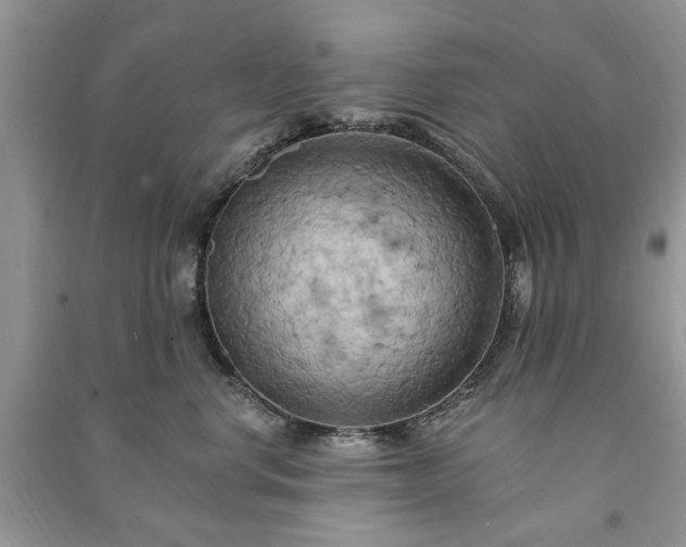 X0000090980668200708091458