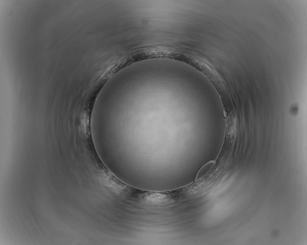 X0000090980669200708091458