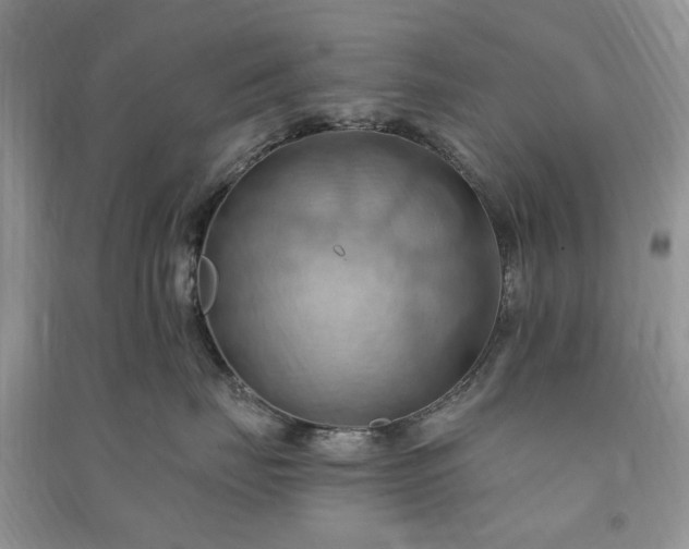 X0000090980671200708091458