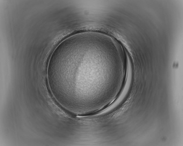 X0000090980673200708091458