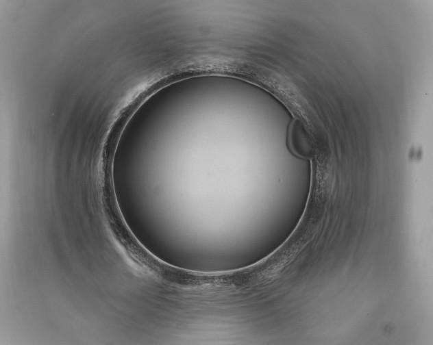 X0000090980674200708091458