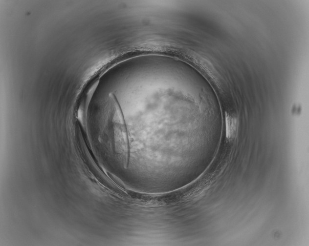 X0000090980675200708091458