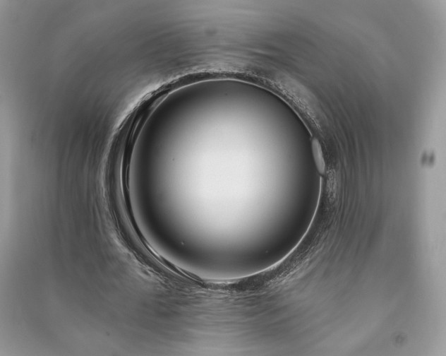 X0000090980676200708091458