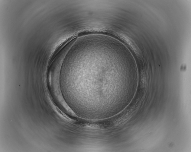 X0000090980677200708091458