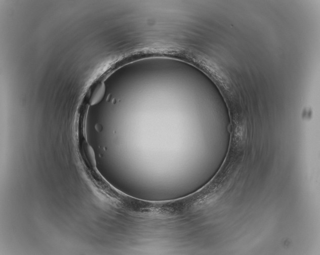X0000090980678200708091458