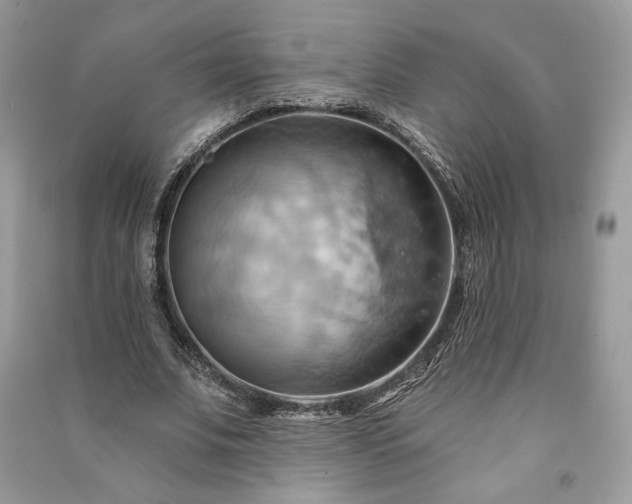 X0000090980679200708091458