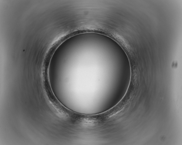 X0000090980680200708091458