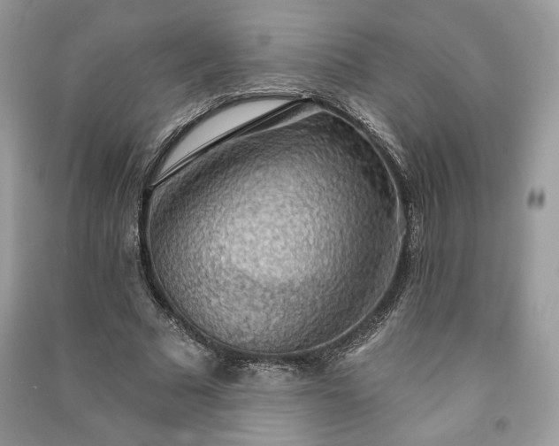 X0000090980681200708091458
