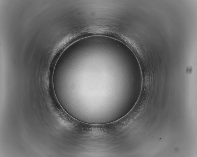 X0000090980682200708091458