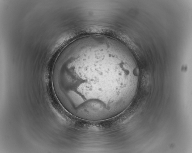 X0000090980683200708091458