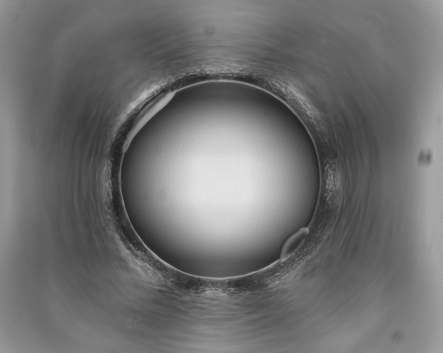 X0000090980684200708091458