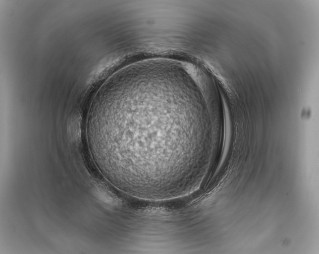 X0000090980685200708091458