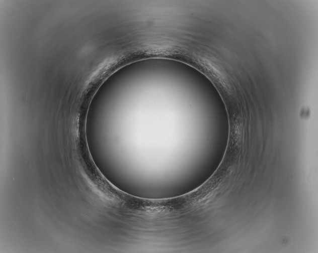 X0000090980686200708091458