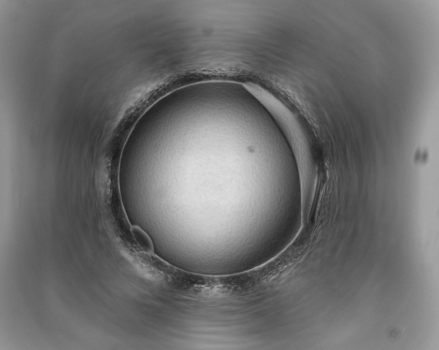 X0000090980688200708091458