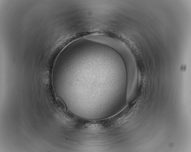 X0000090980689200708091458