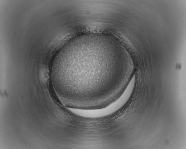 X0000090980693200708091458