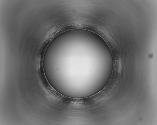X0000090980694200708091458