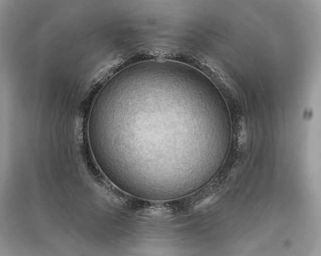 X0000090980696200708091458