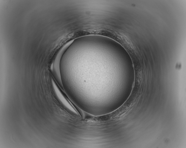 X0000090980697200708091458