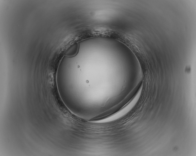 X0000090980699200708091458