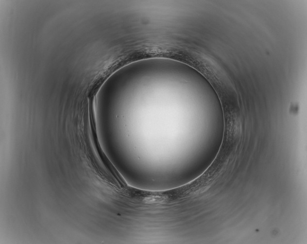 X0000090980700200708091458