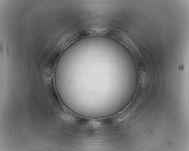 X0000090980701200708091458