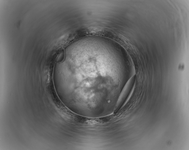 X0000090980703200708091458