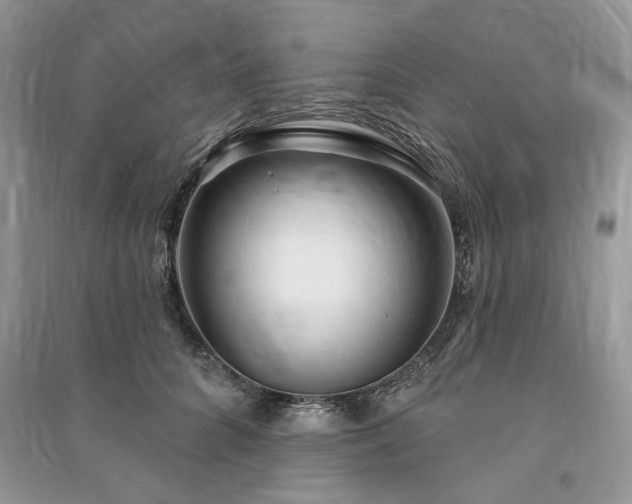 X0000090980704200708091458