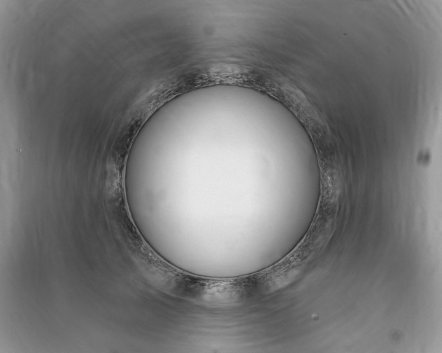 X0000090980705200708091458