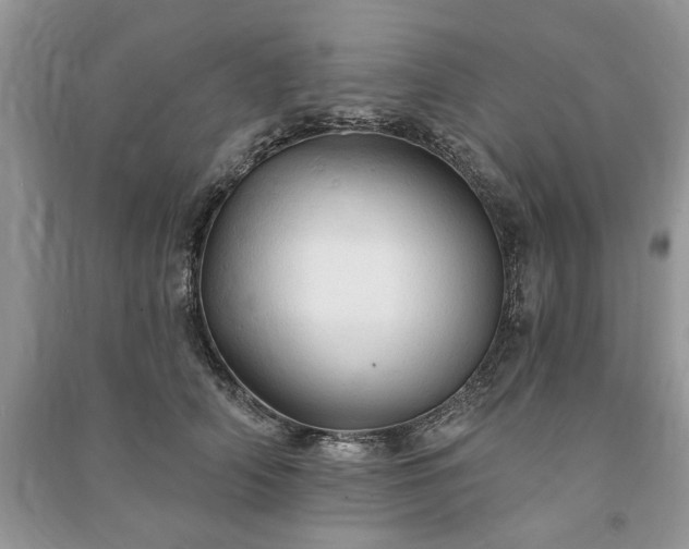 X0000090980706200708091458