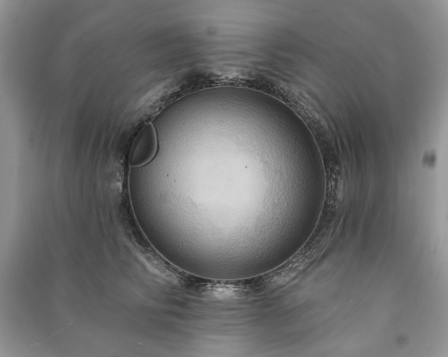 X0000090980710200708091457