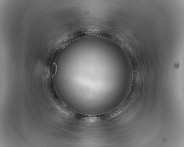 X0000090980711200708091457