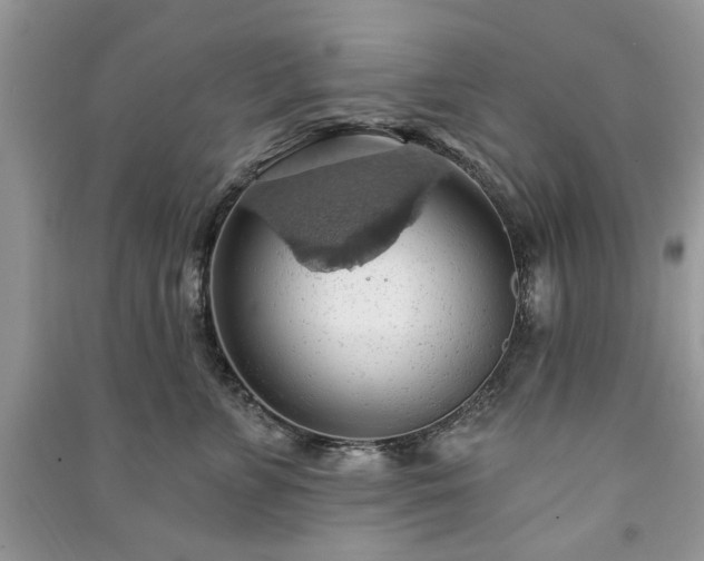 X0000090980715200708091457