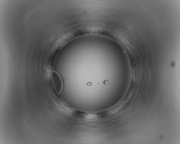 X0000090980718200708091457