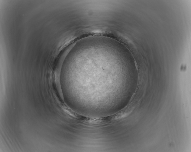 X0000090980720200708091457