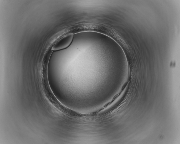 X0000090980722200708091457