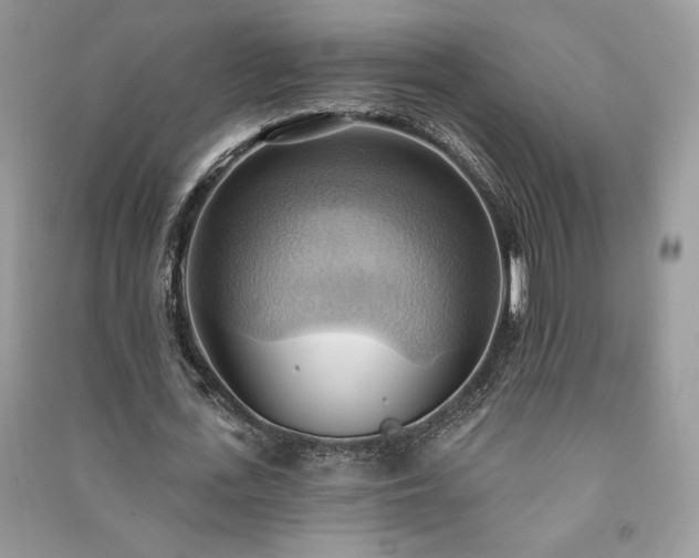 X0000090980723200708091457