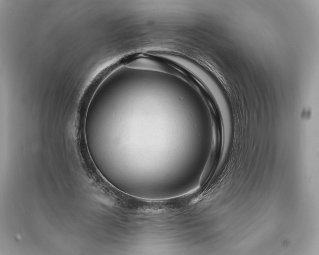 X0000090980724200708091457