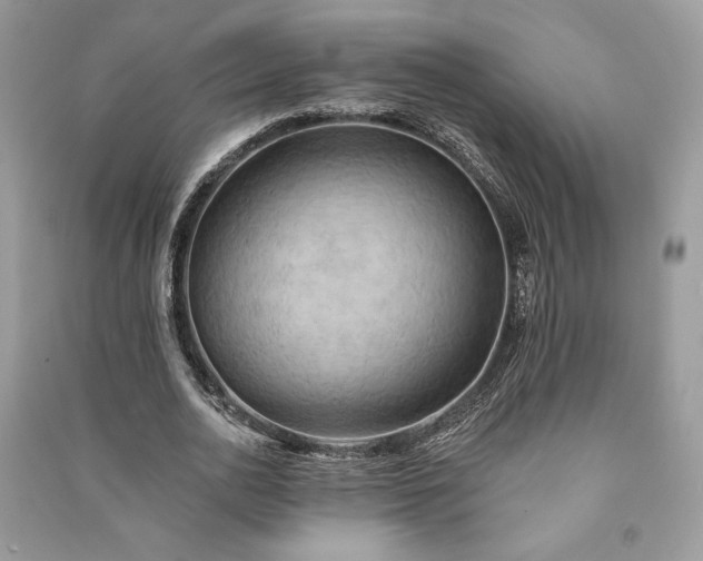 X0000090980726200708091457