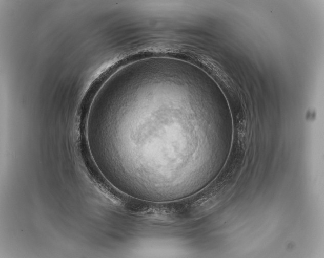 X0000090980727200708091457